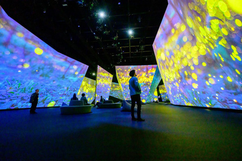 The BBC Earth Experience consists of a multi-room digital art experience