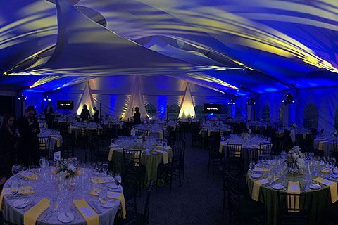 The Knoxville Museum of Art held its annual fundraising event, L’Amour du Vin with a lighting package donated by Bandit Lites
