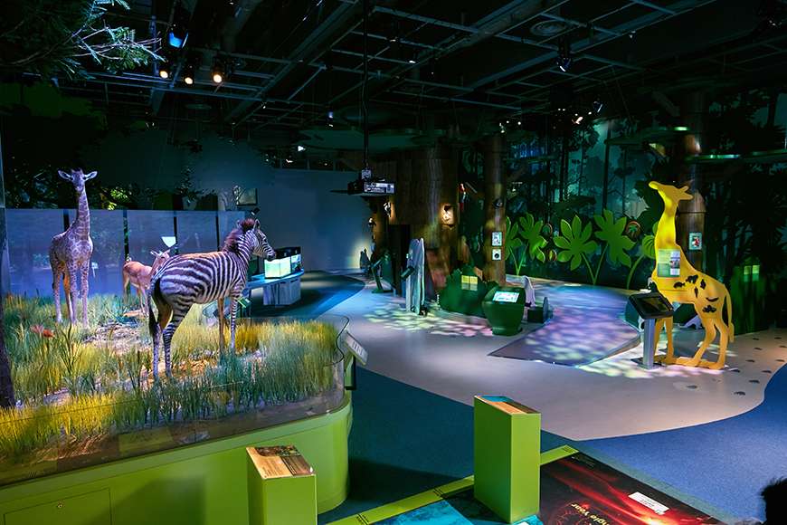 The Museum recently opened a series of new exhibits designed to encourage a greater understanding of the world all around us