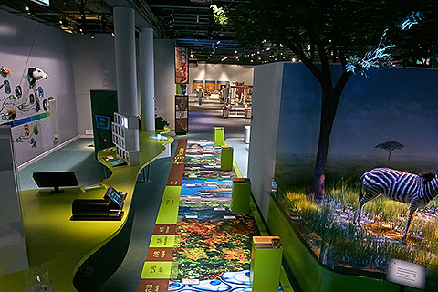The Museum recently opened a series of new exhibits designed to encourage a greater understanding of the world all around us