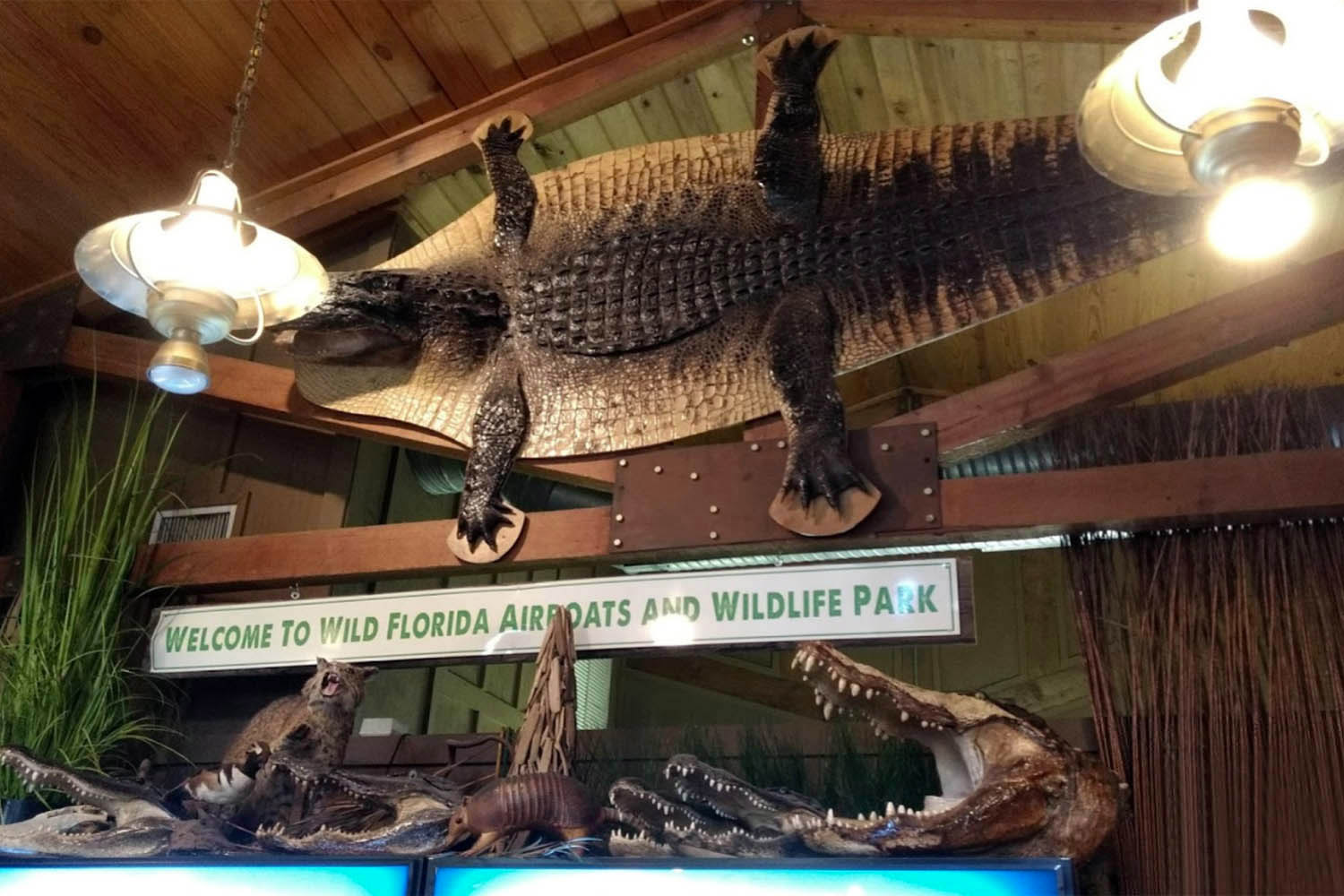 The Wild Florida gift shop