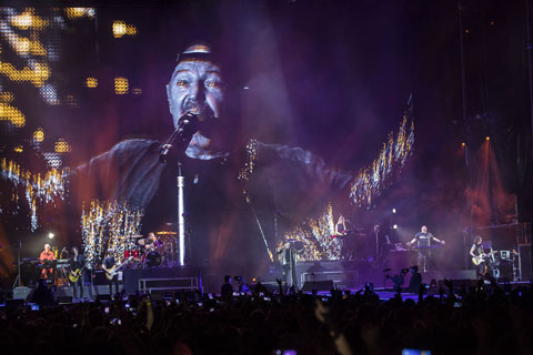 Vasco Rossi on the big screen (photo: Louise Stickland)