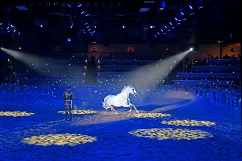 Medieval Times in Buena Park, CA, has upgraded its show lighting rig with Philips Vari-Lite and Showline fixtures