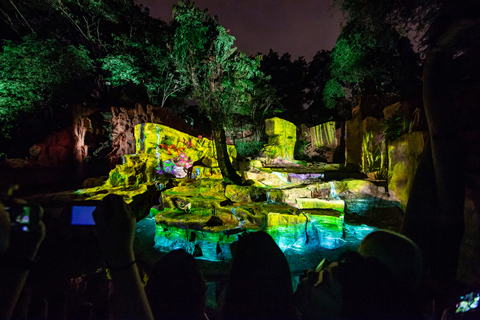 The attraction immerses the senses with the sights and sounds of simulated rainforest landscapes