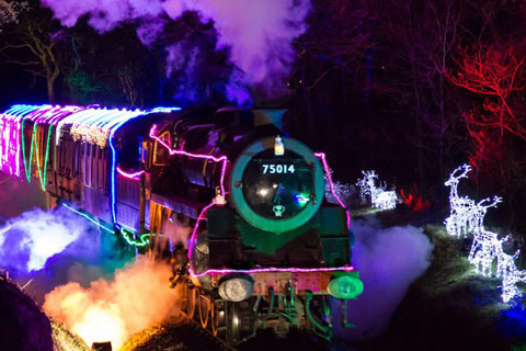 The Train of Lights was a fully-functioning steam train