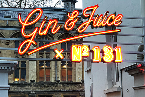 The Gin & Juice Bar