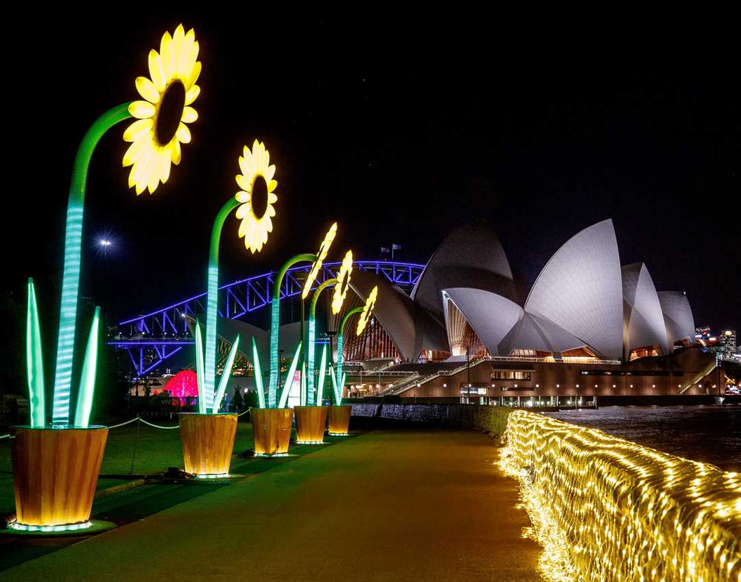 Vivid Light Sydney