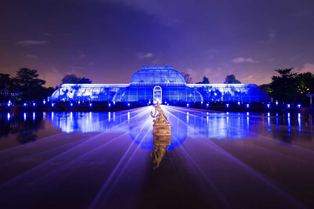 Christmas at Kew runs until 5 January