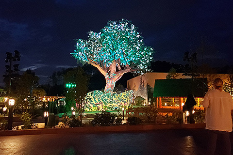 The Wildwood Tree comes to life each evening during a light and sound experience created by The Imagination House