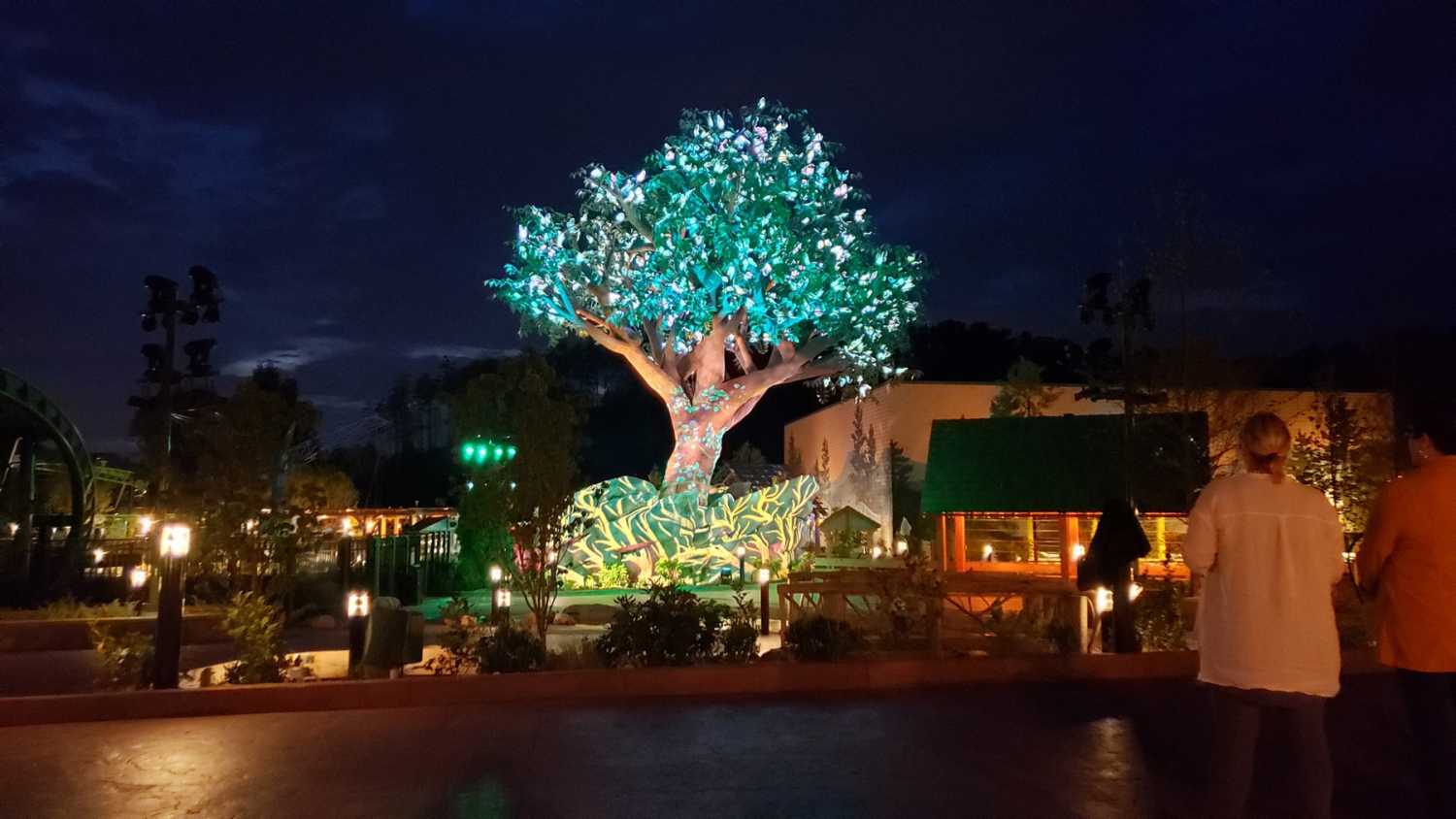 The Wildwood Tree comes to life each evening during a light and sound experience created by The Imagination House