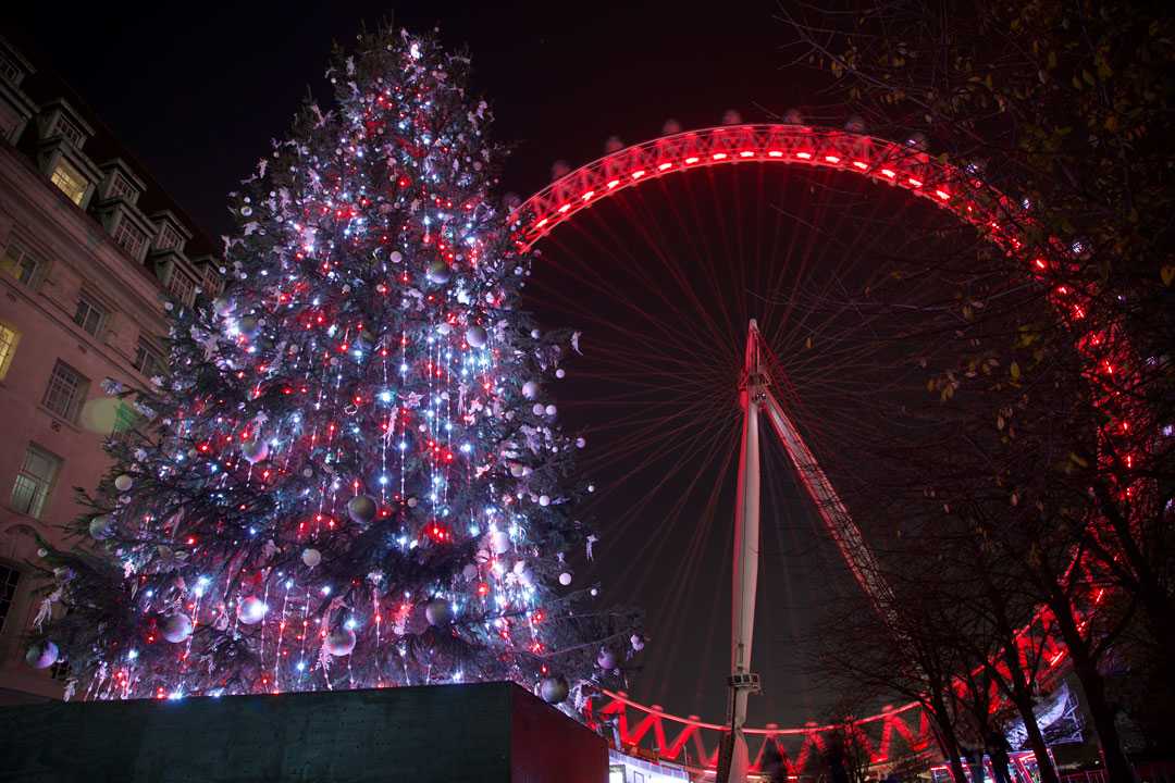 The bespoke LED lighting solution fully pixel-mapped the tree’s surface