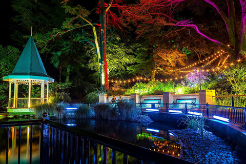 The Botanic Gardens are transformed into a wonderland of lights