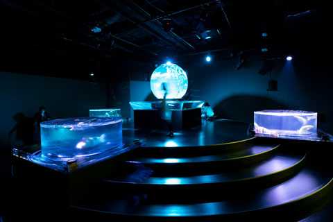 The Art Aquarium has emerged as a summer tradition in Nihonbash
