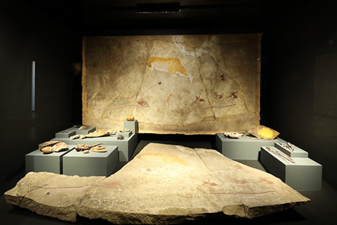 The museum has an extensive collection of stone tools, fossils and rock art, all interwoven with technology (photo: Duncan Riley)