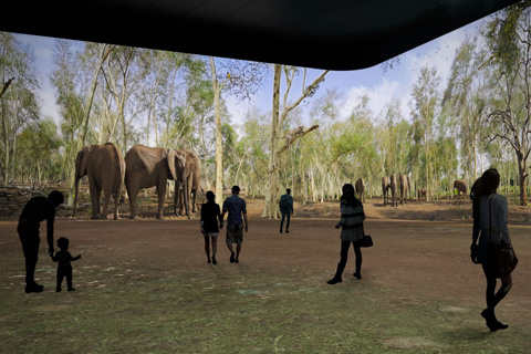 The venue takes visitors on African Safari via a multi-sensory journey brought to life with the help of modern technology