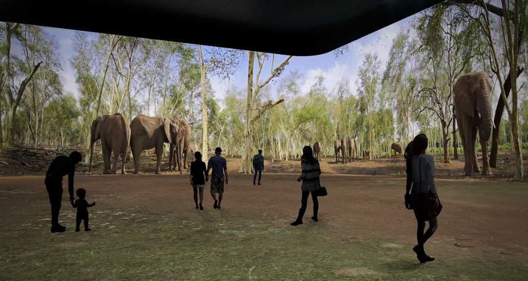 The venue takes visitors on African Safari via a multi-sensory journey brought to life with the help of modern technology