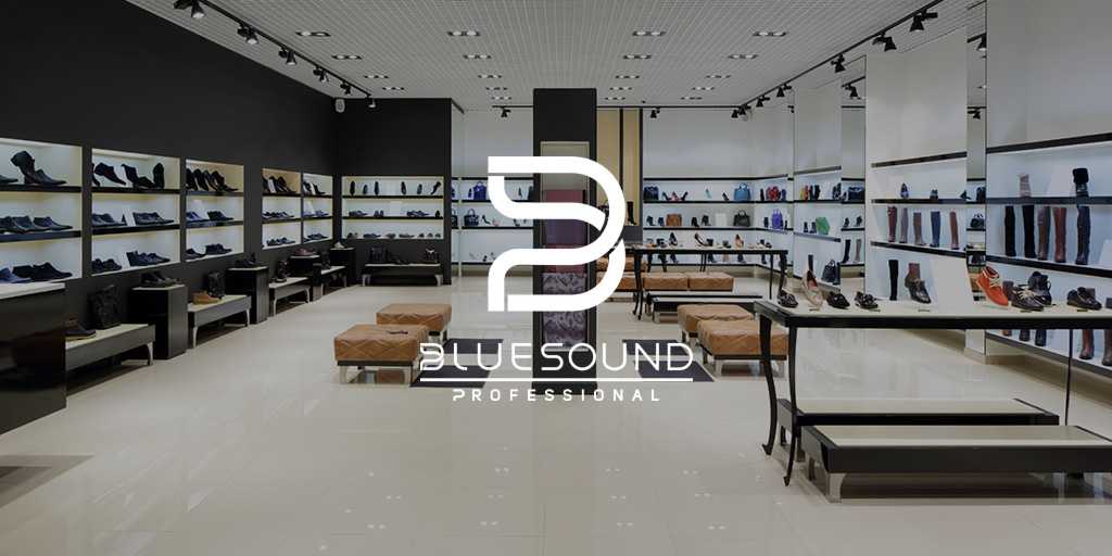 Audiotonas joins Bluesound’s distributor network
