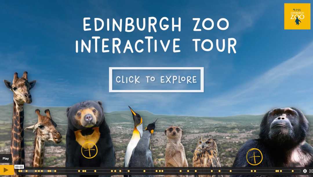 The video is now live on the Edinburgh Zoo website