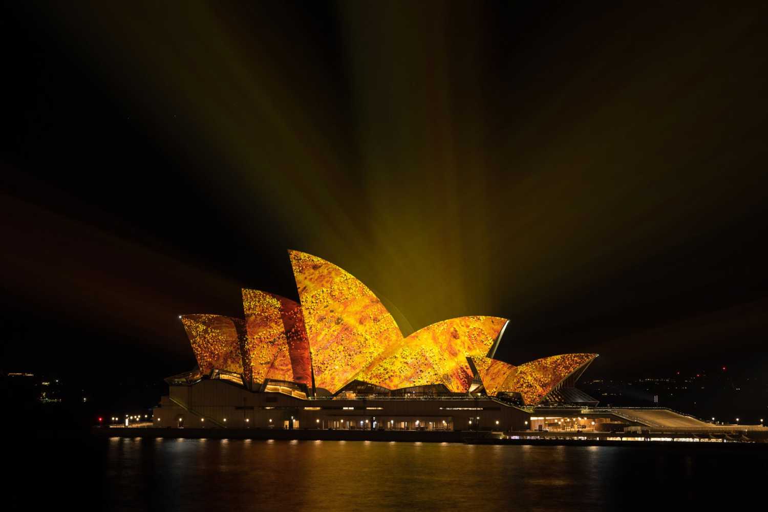 TDC celebrates the natural world at Vivid Sydney 2023