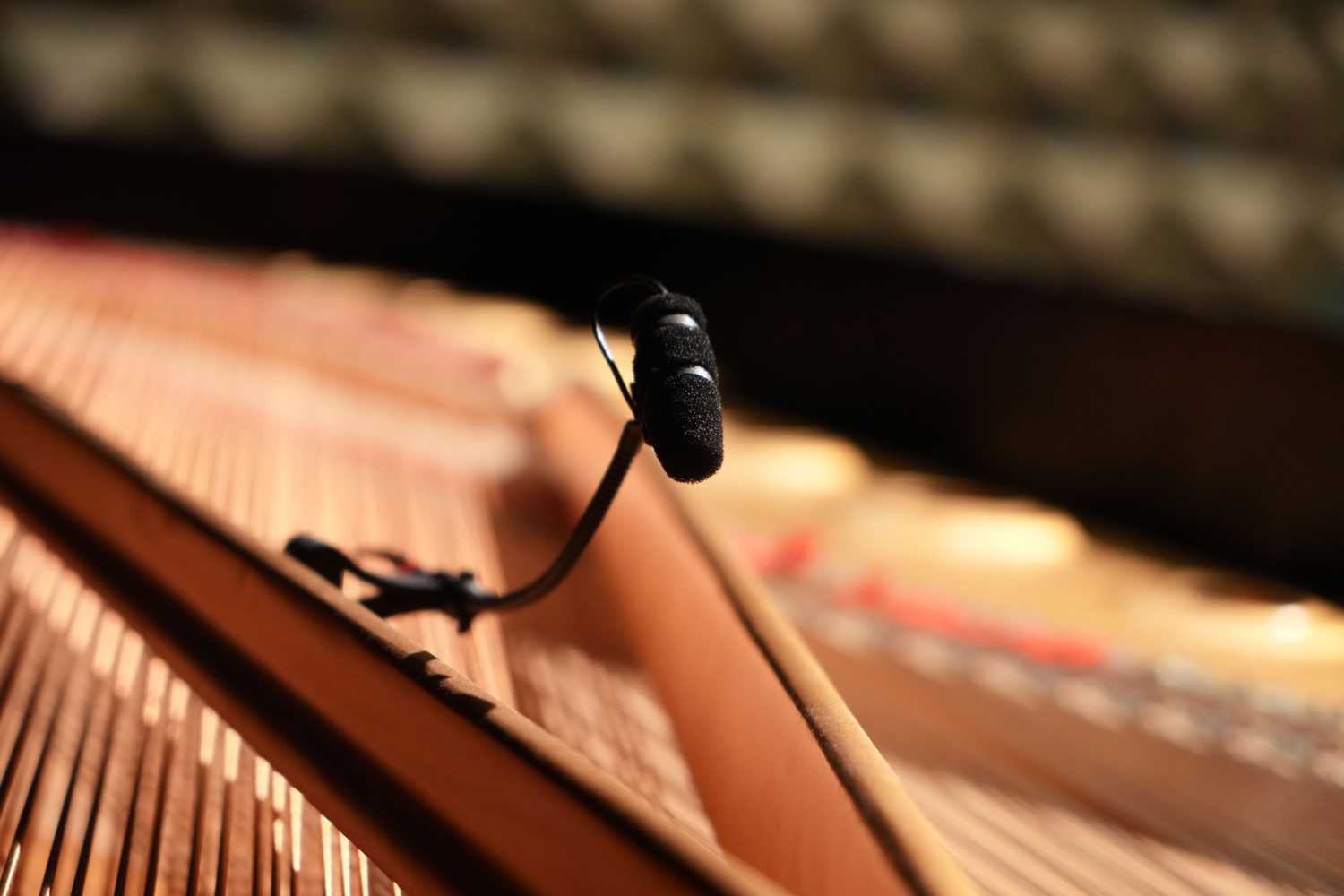 The 4099 Instrument Mics are utilised on two Steinway grand pianos (photo: Dan Olybrych)