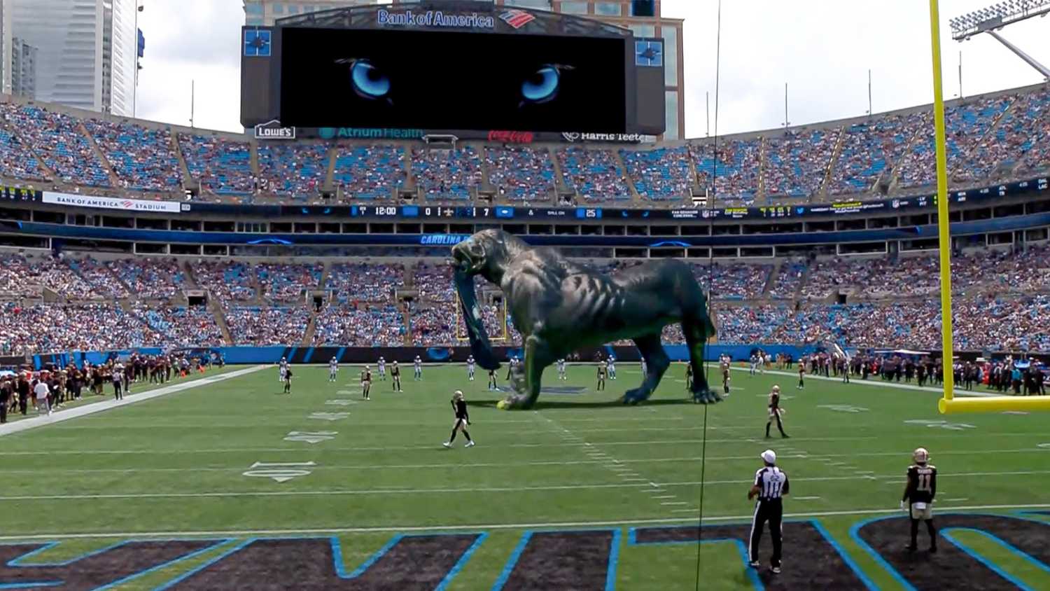 ‘The mixed reality Panther has become an important part of games for the Carolina Panthers’