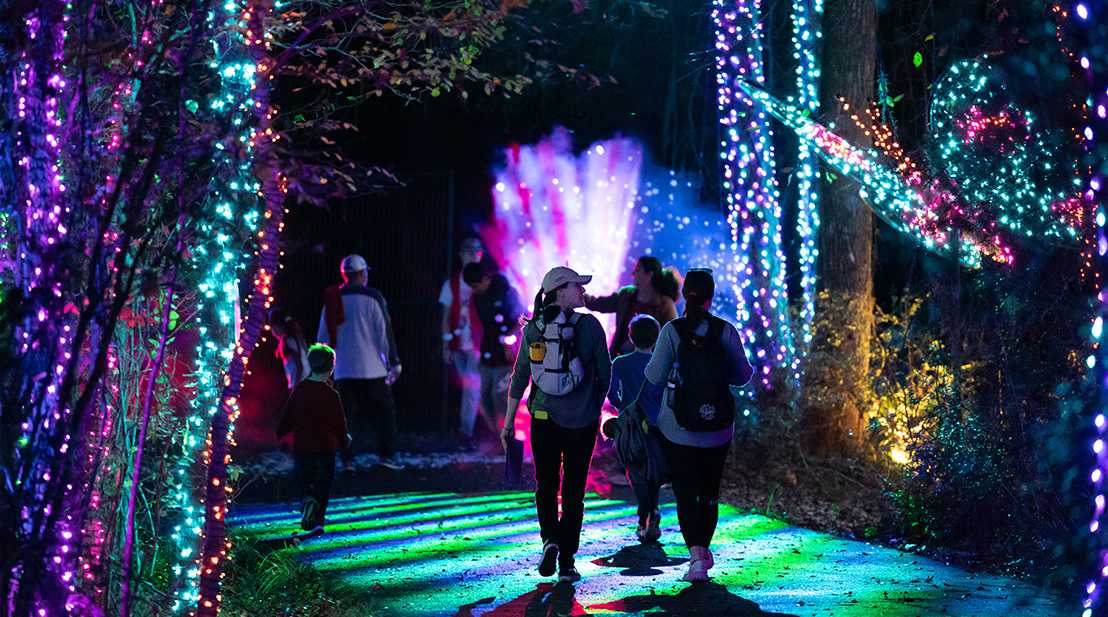 Lone Star Lights is a family-friendly Christmas light experience hosted at Carolina Creek