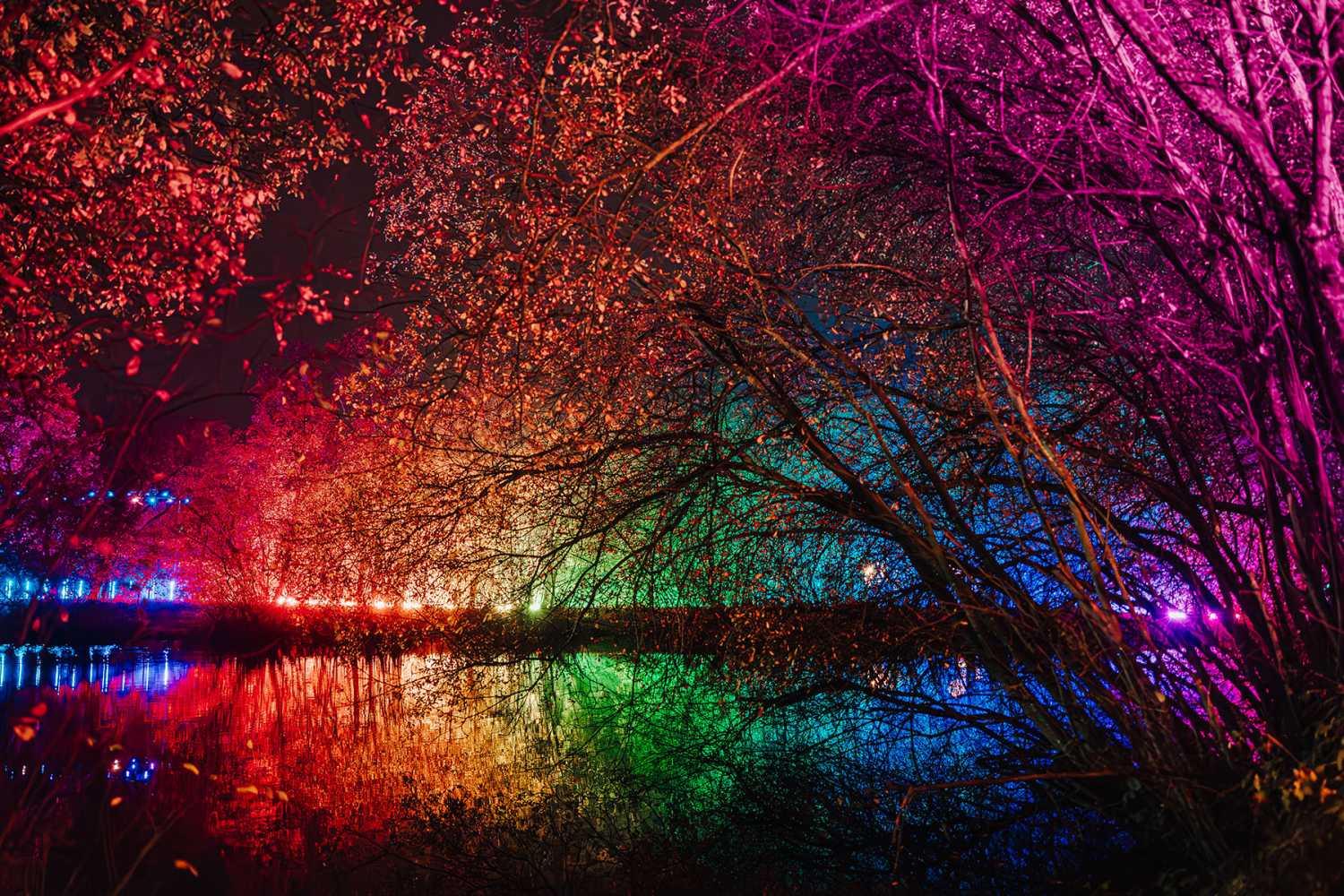 The Neverland Illuminova Christmas trail at Wellington Country Park (photo: Luke Dyson)